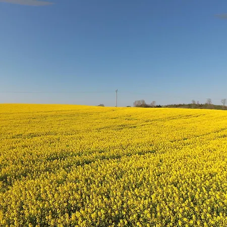 Lägenhet Schleiblick App 14 Rabenkirchen-Faulück
