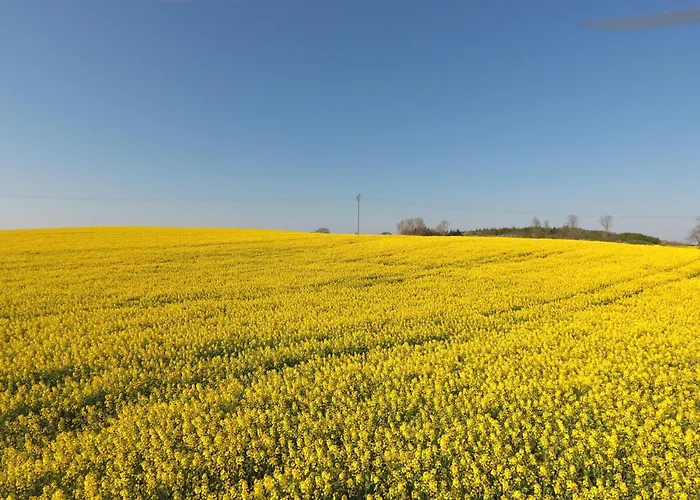 Appartement Schleiblick App 14 Rabenkirchen-Faulück
